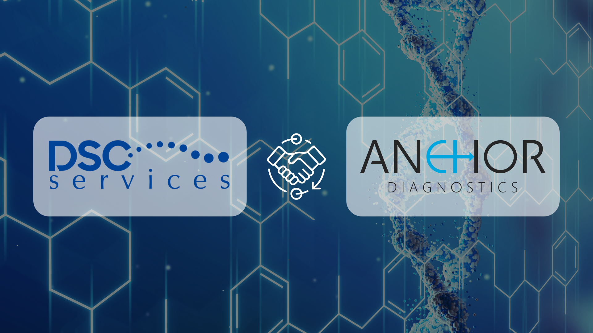 Diseño sin título (7)